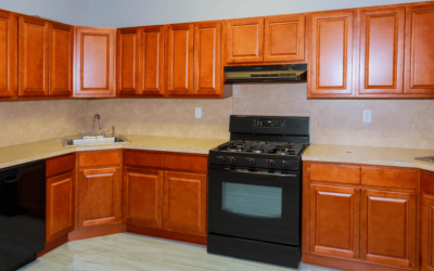 Unsure Of What Style Of Tampa Kitchen Cabinets Suits You?