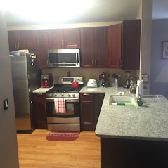 kitchen remodeling contractors tampa fl